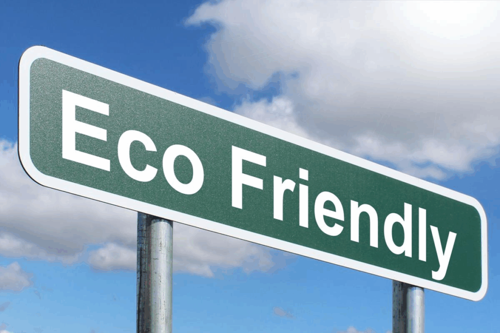 How to Create a Sustainable Lifestyle with Eco-Friendly Choices