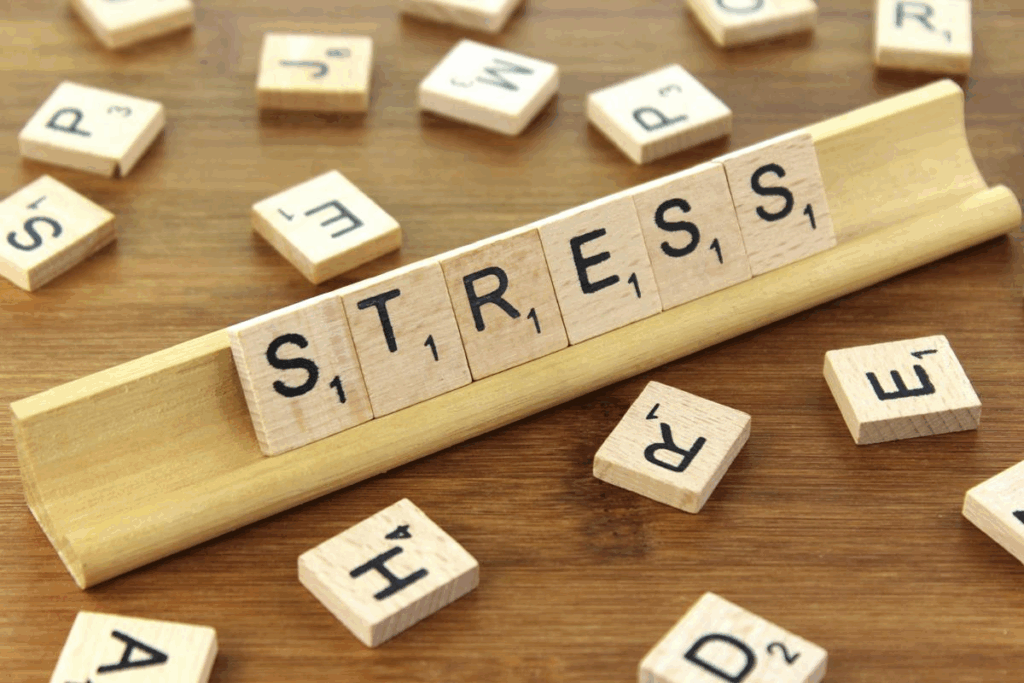 Tips for Adopting a Minimalist Lifestyle to Reduce Stress