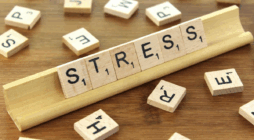 Tips for Adopting a Minimalist Lifestyle to Reduce Stress