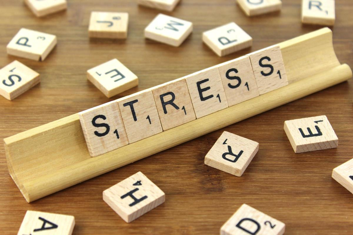 Tips for Adopting a Minimalist Lifestyle to Reduce Stress
