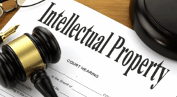 How to Protect Your Intellectual Property Rights Internationally